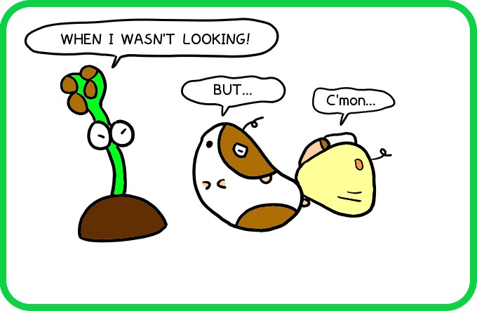 The temptation of forbidden recipes1