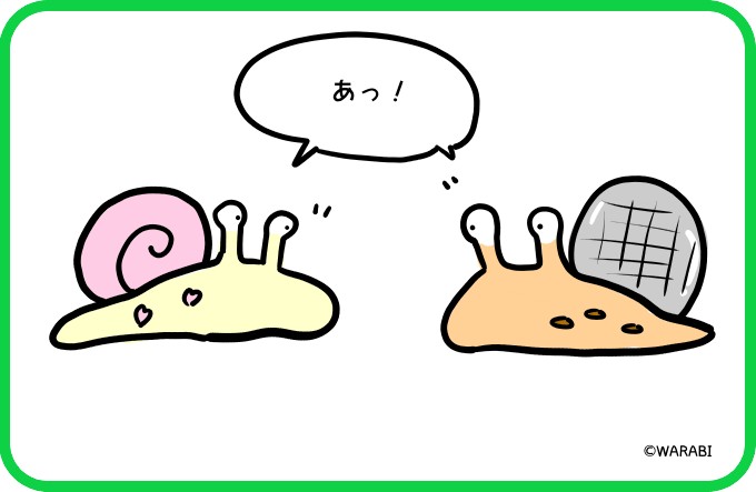 竜巻から出会いへ4