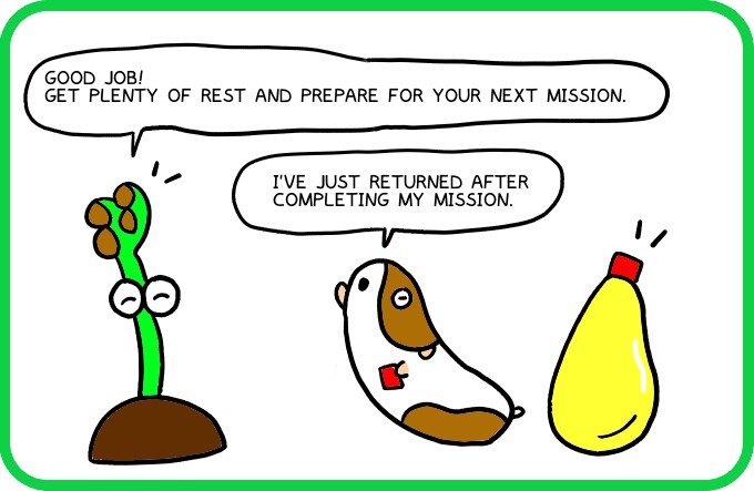 Mission completed2