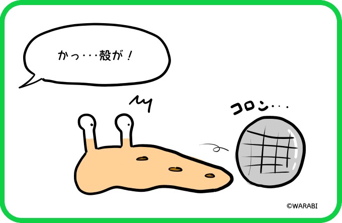 かっ･･･殻が！4