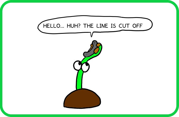 For now, let's go１