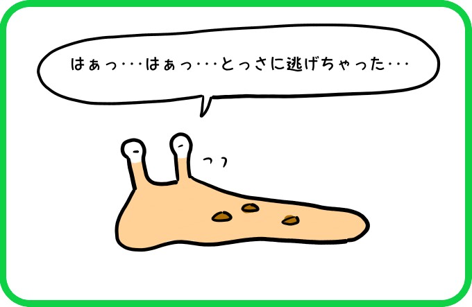 あやまりたいけど1