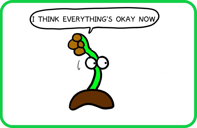 Everything is extremely spicy3
