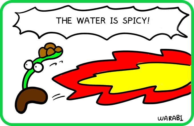 Everything is extremely spicy4