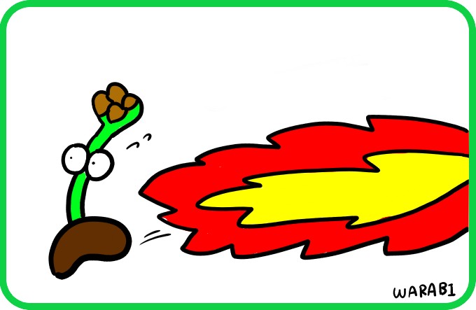 Fire-breathing spiciness4