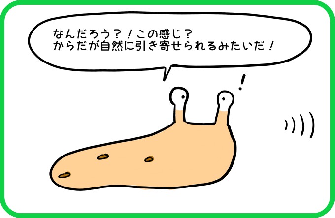 引き寄せられる1