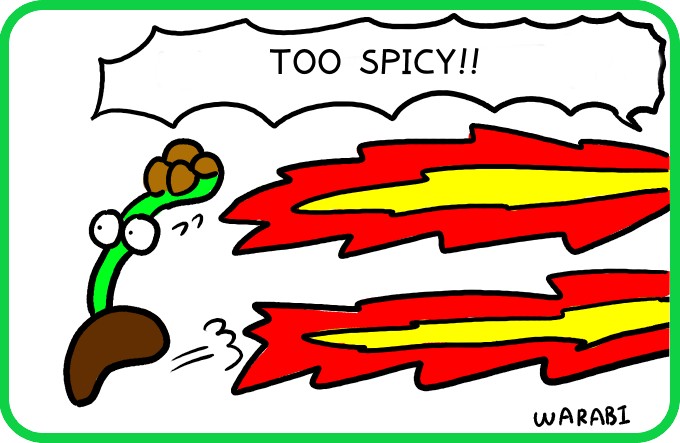 Contagious spiciness4