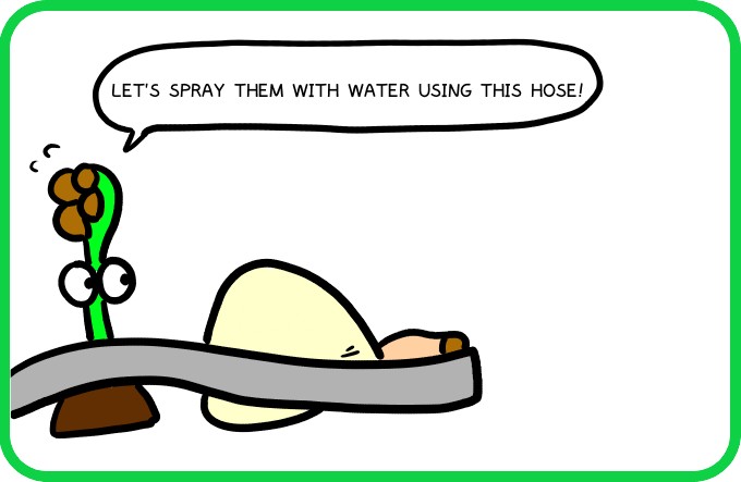 Fire vs Water1