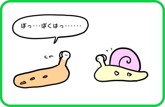 真実の告白2