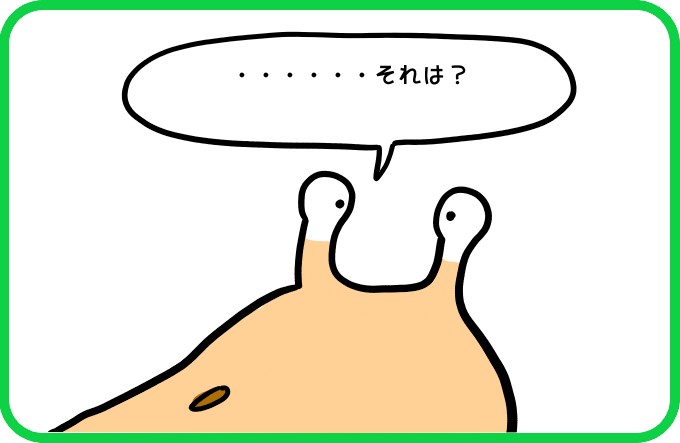 そっ･･･それは3