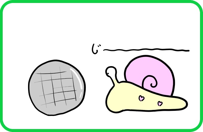 こんな殻は1