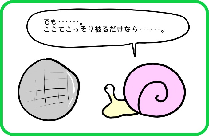 こんな殻は4