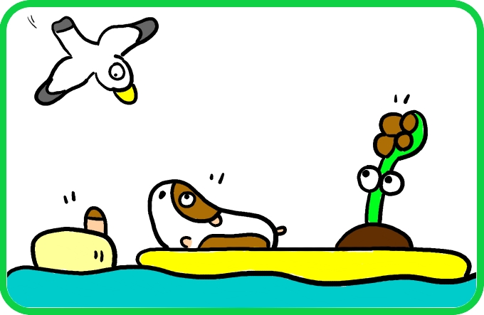A new species of gull?？3