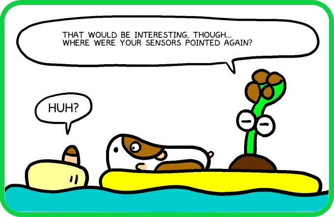 A new species of gull2