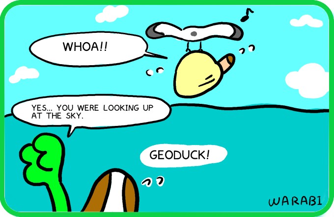 A new species of gull4