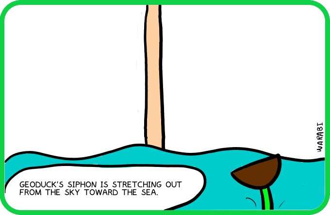 From the sky to the sea4